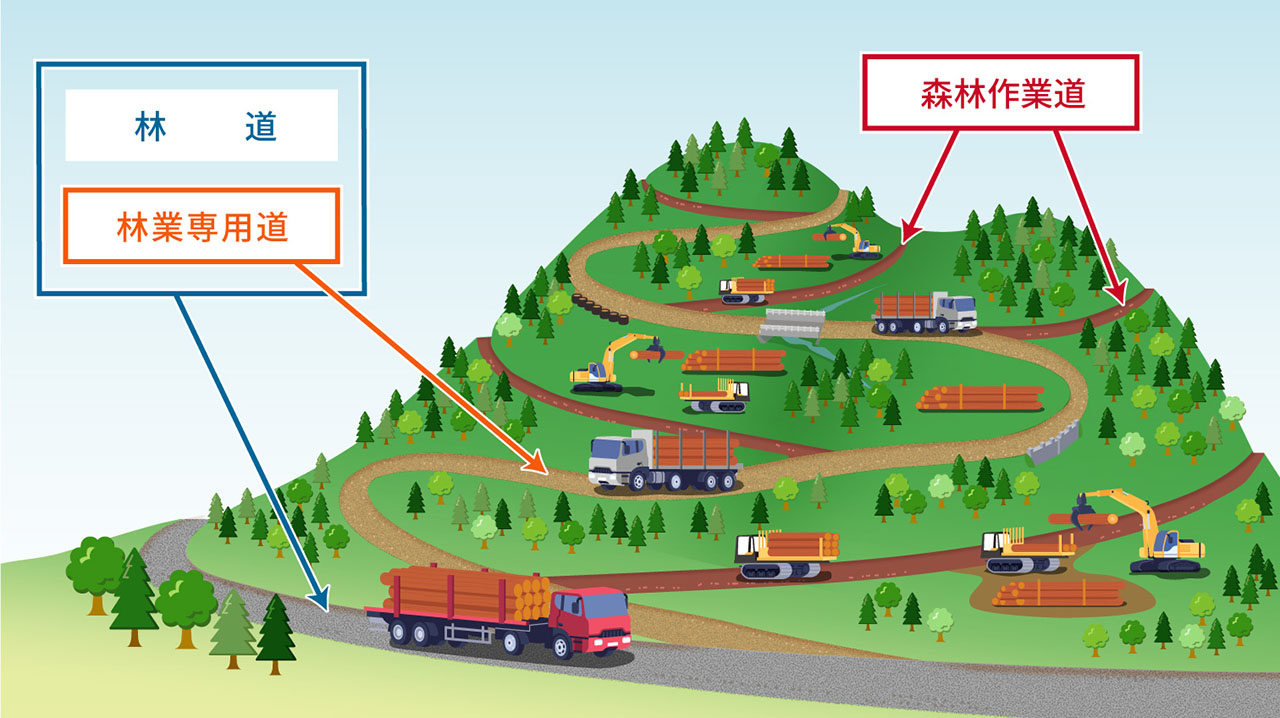 森林路網の整備　イラスト図